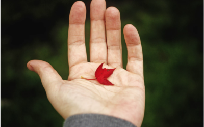 The Hard Truth about Comfort Zone