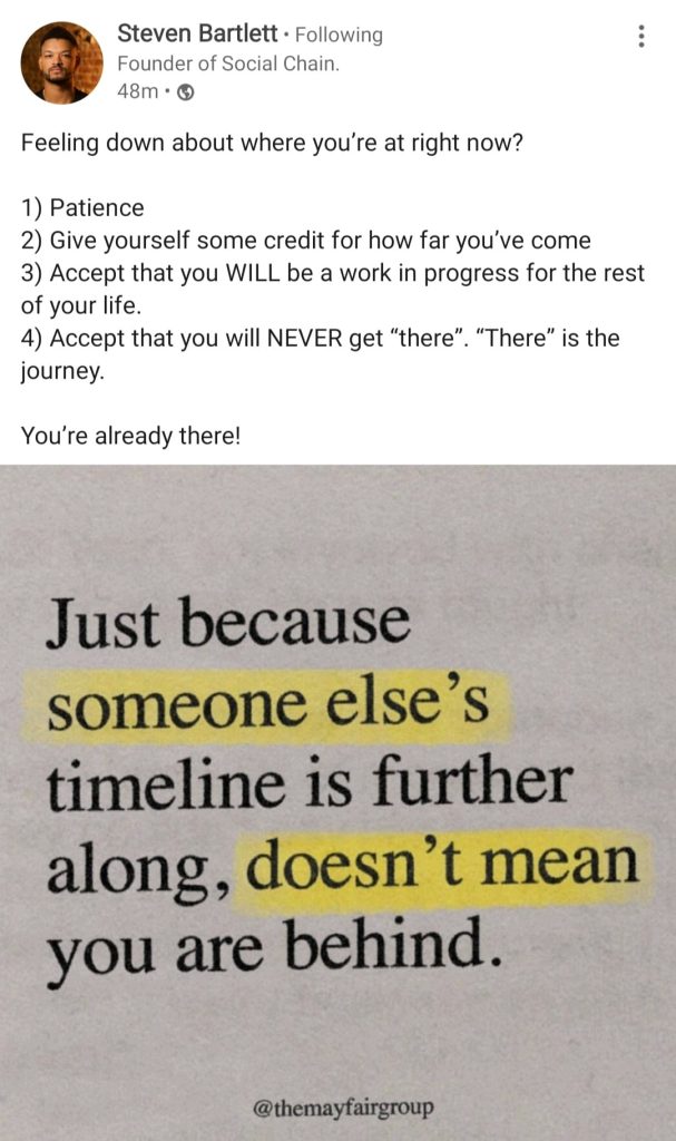 Ann Kristine_success definition_Steven Bartlett